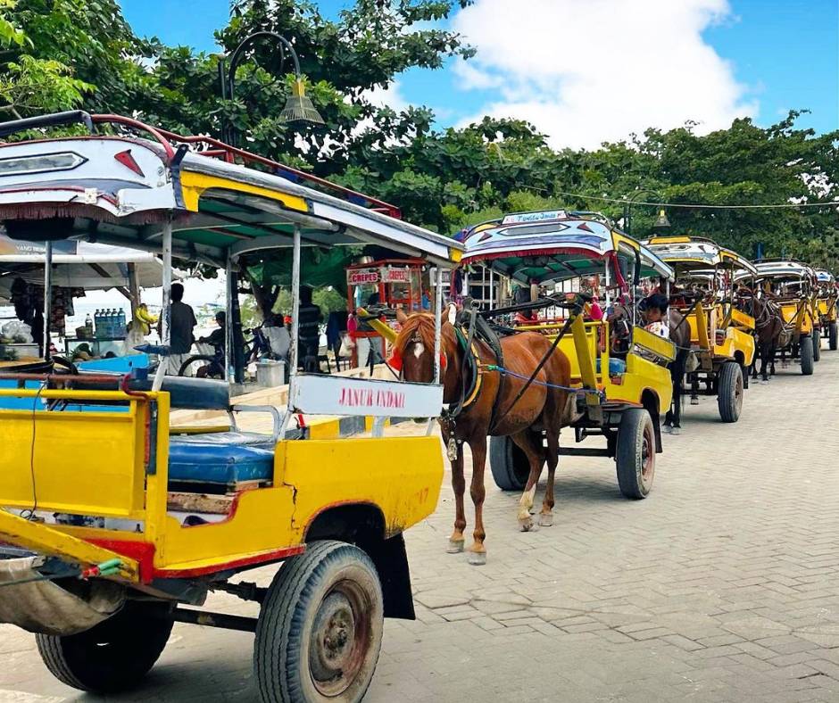 Cidomo Sebagai Transportasi Tradisional Di Lombok